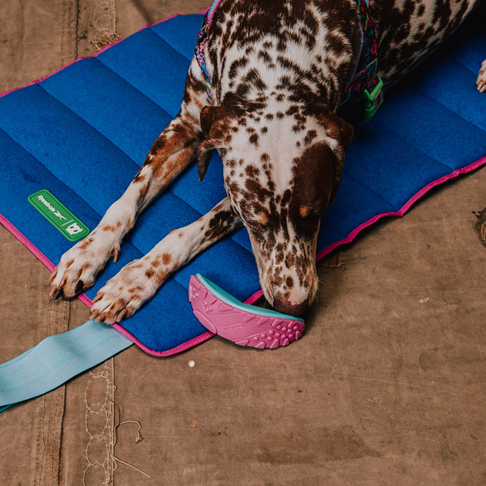 Juguete para morder Aerobic Boomerang para perros de ZEEDOG