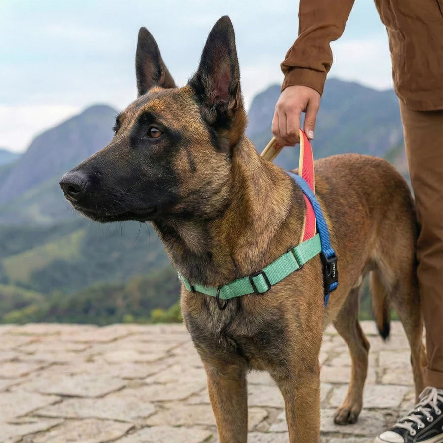 Softer Walk Harness