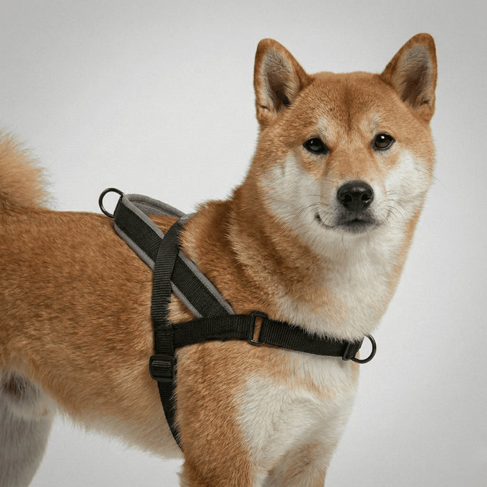 Arnés anti-tirones para perro Gotham / Softer Walk Harness de ZEEDOG, antitirones, cierre de seguridad