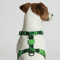 Arnés en H para perros Error #410 de ZEEDOG, verde, negro, ajustable, suave