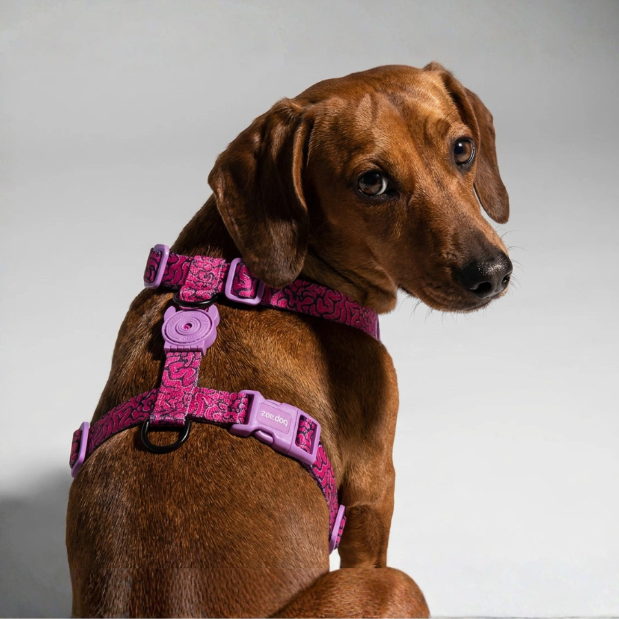 H-Harness Brain - Arnés en H para perros de ZEEDOG, ajustable, poliéster