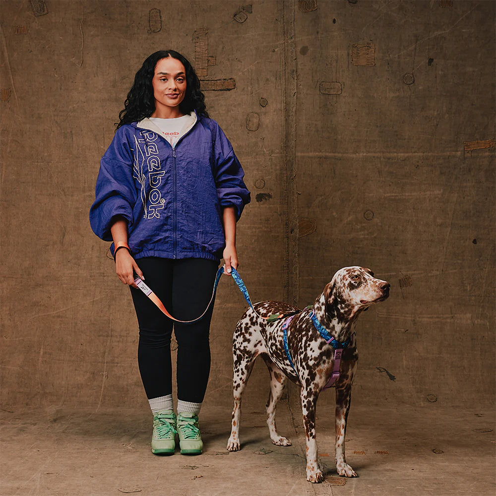 Arnés en H para perros trekk Reebok x Zee.Dog de ZEEDOG, transpirable, suave