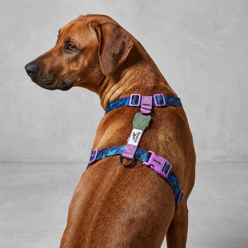 Arnés en H para perros trekk Reebok x Zee.Dog de ZEEDOG, transpirable, suave