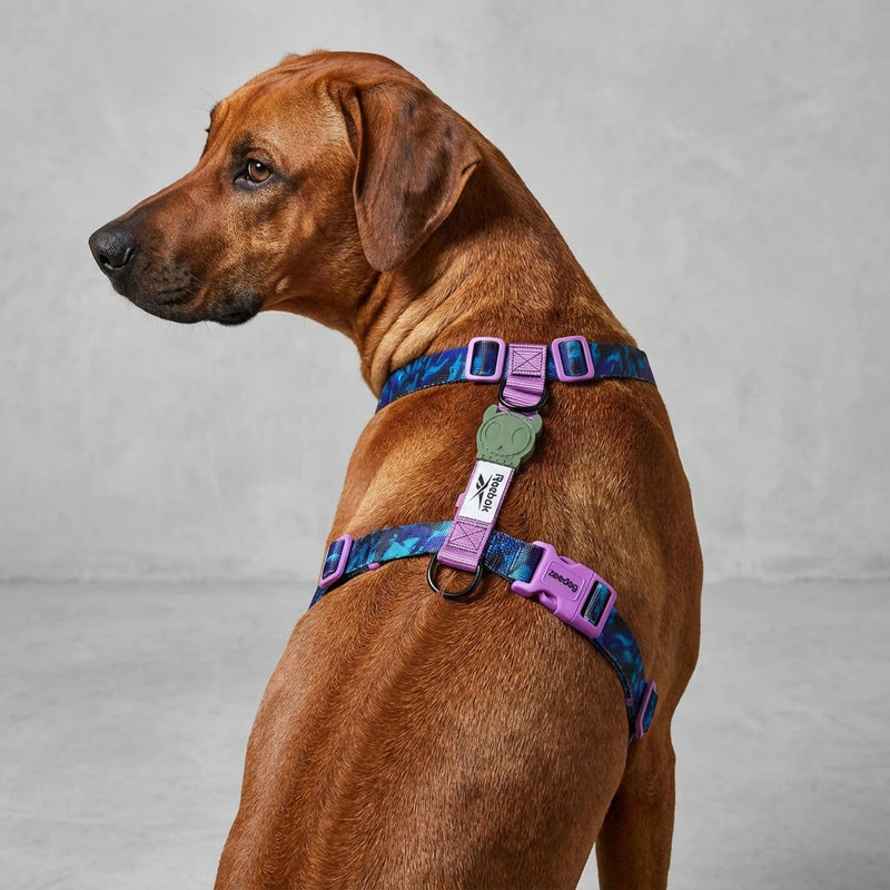 Arnés en H para perros trekk Reebok x Zee.Dog