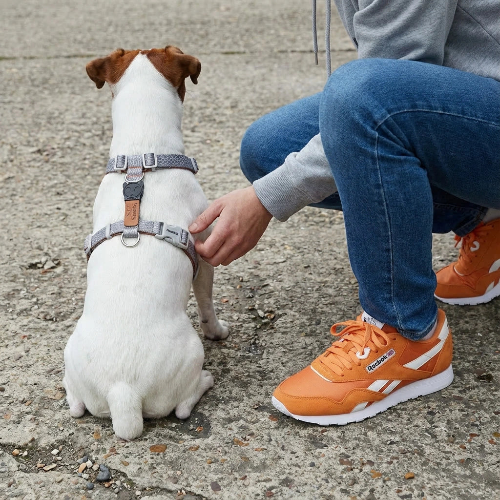 Arnés en H para perros Suede Reebok x Zee.Dog de ZEEDOG, estampado