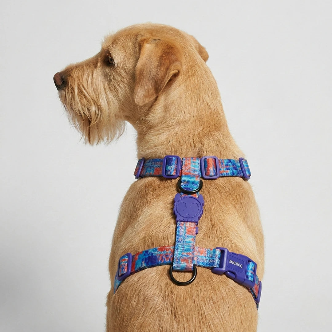 Arnés en H para perros Error #404 de ZEEDOG, naranja, turquesa, azul, ajustable