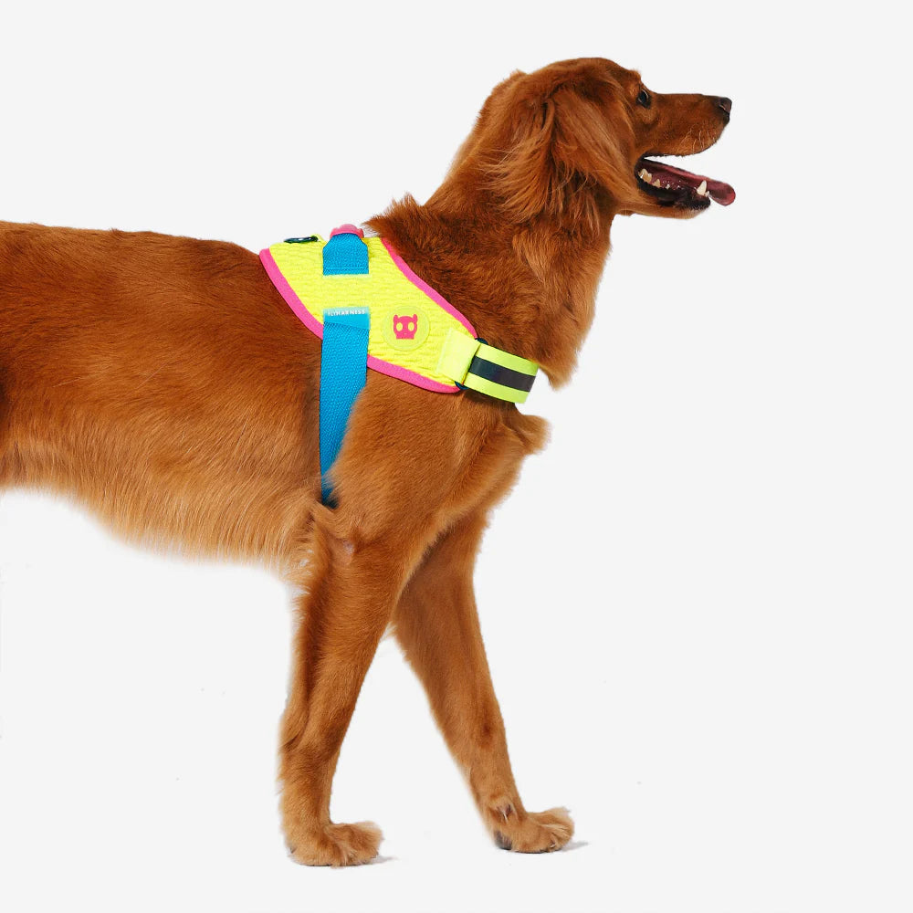 Arnés para perros Flyharness CMYK de ZEEDOG, arcoíris, amarillo, azul, reflectante, acolchado