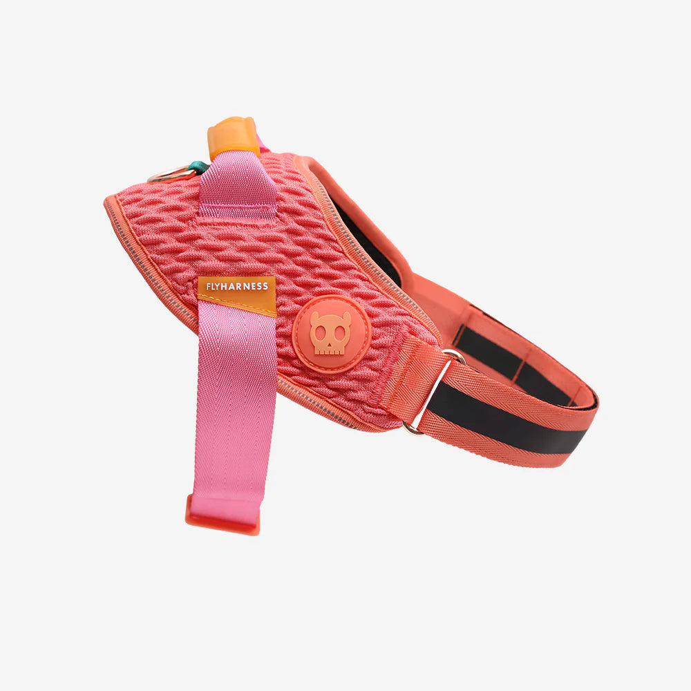 Arnés para perros Flyharness Gazzele de ZEEDOG, arcoíris, naranja, rosa, reflectante, acolchado