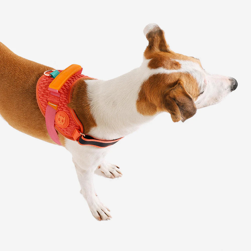 Arnés para perros Flyharness Gazzele de ZEEDOG, arcoíris, naranja, rosa, reflectante, acolchado