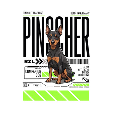 Pinscher
