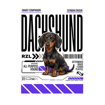 Dachshund / Salchicha