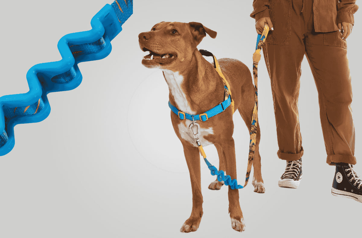 Correas antitirones RuffLeash Zee.Dog