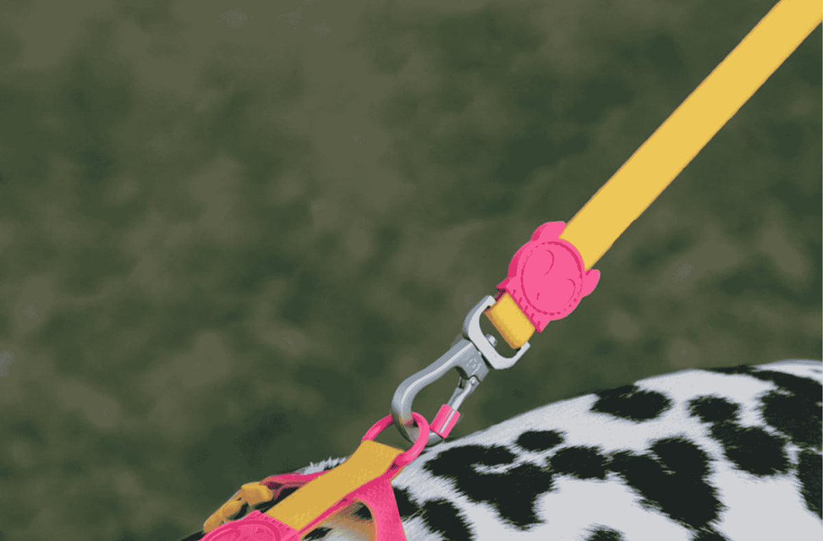 Correas impermeables NeoPro™ Zee.Dog
