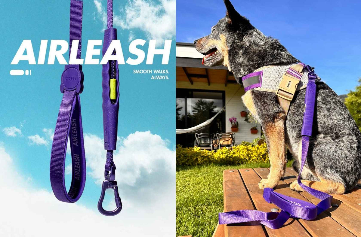 AirLeash Zee.Dog
