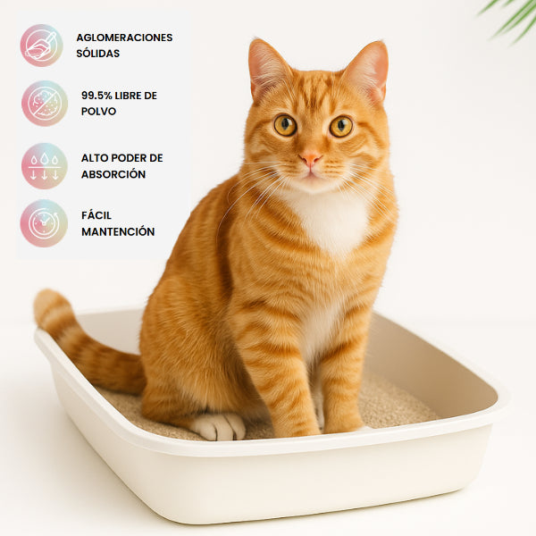 Arena para gato Angora Multi-Gatos 12 kg, suave