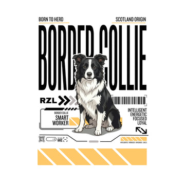 Border Collie