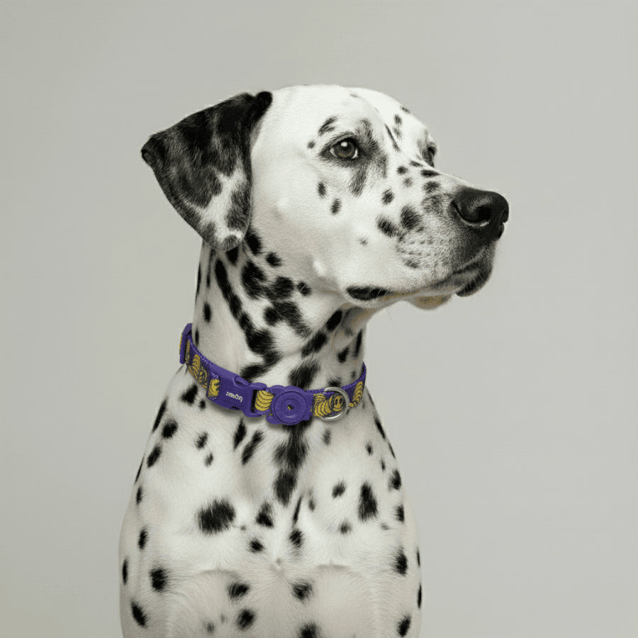 Collar Zmiley para perros de ZEEDOG, cierre de seguridad, completamente ajustable