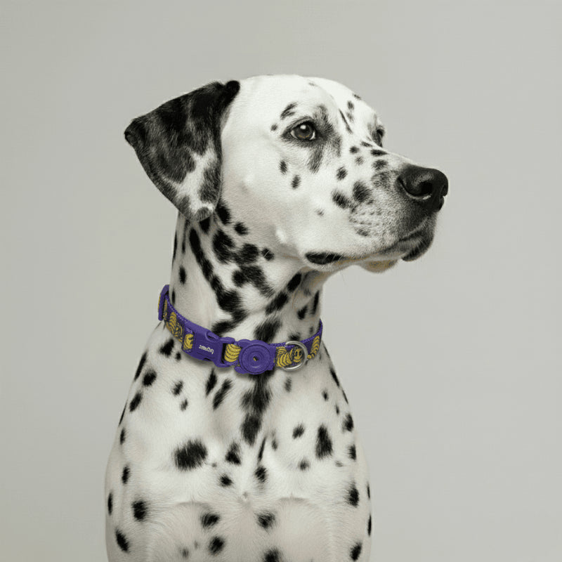 Collar Zmiley para perros
