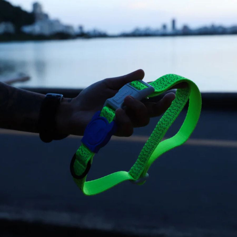 Collar NOX LUMEN reflectivo para perros de ZEEDOG, azul, verde, morado, cierre de seguridad