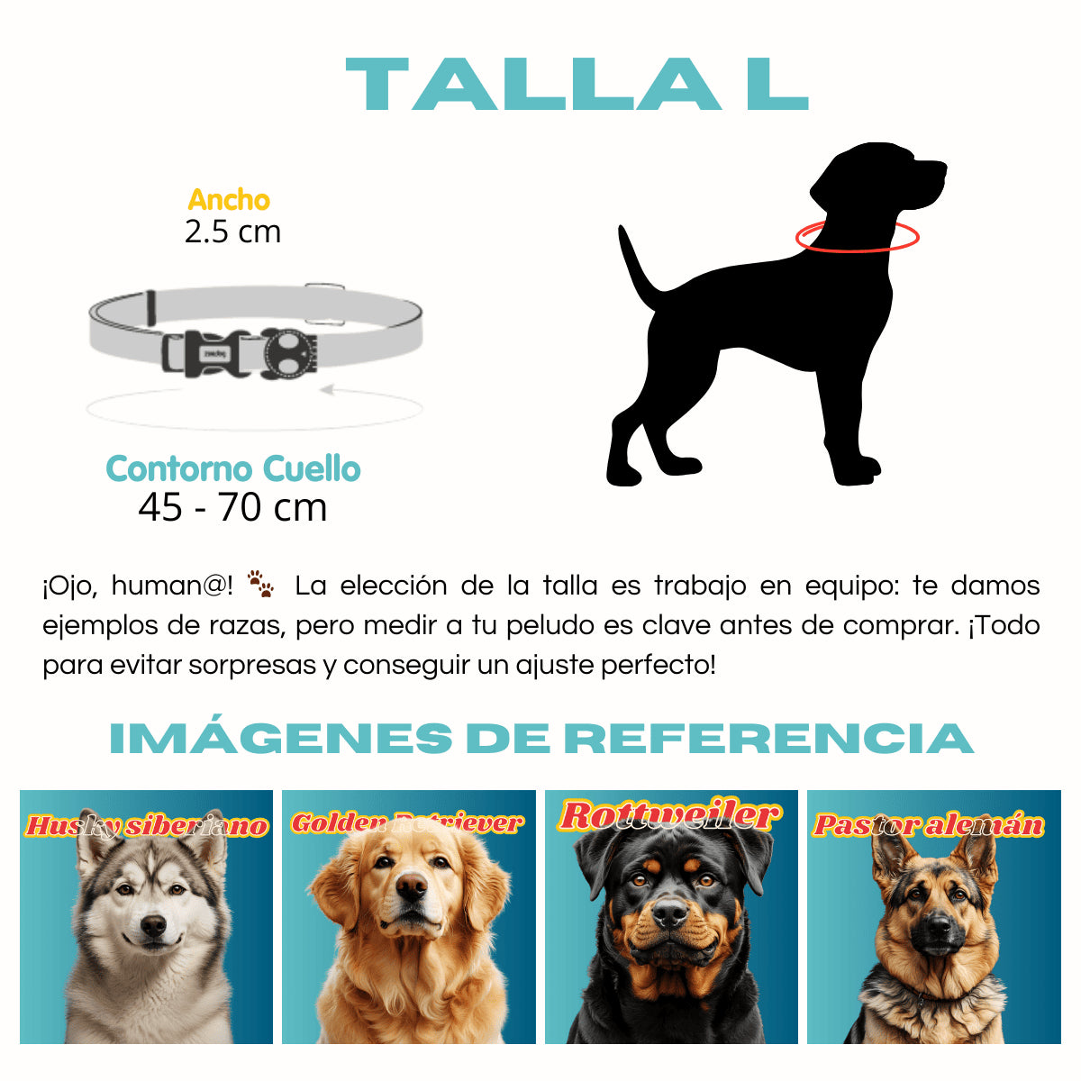 Collar BLACK PANTHER para perros de ZEEDOG, cierre de seguridad, completamente ajustable