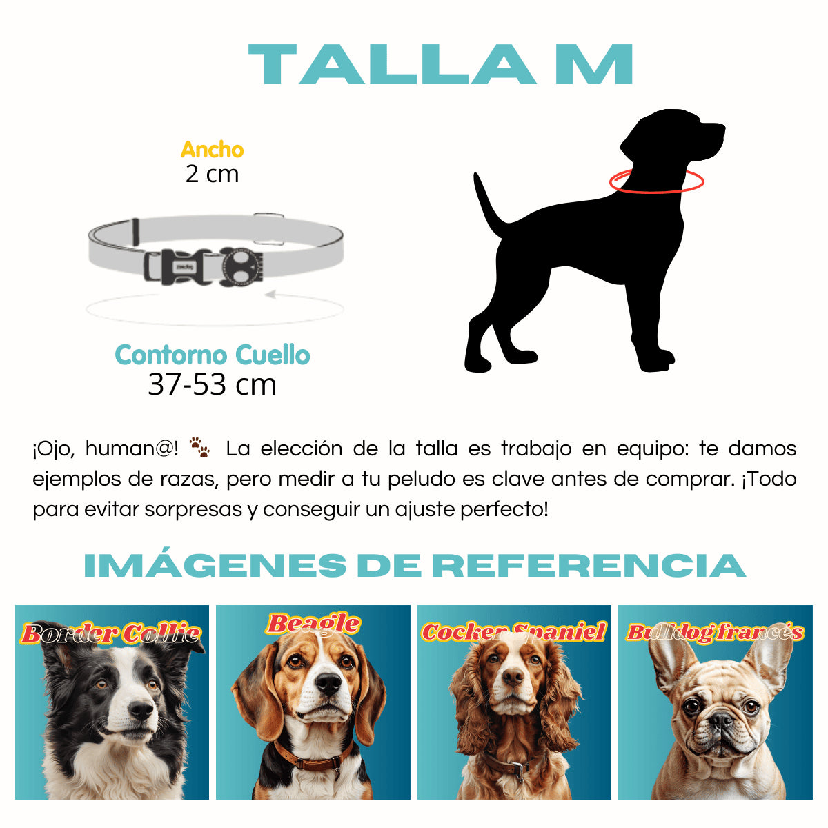 Collar Neopro® Tidal para perros de ZEEDOG, azul aguamarina, gris, resistente al agua