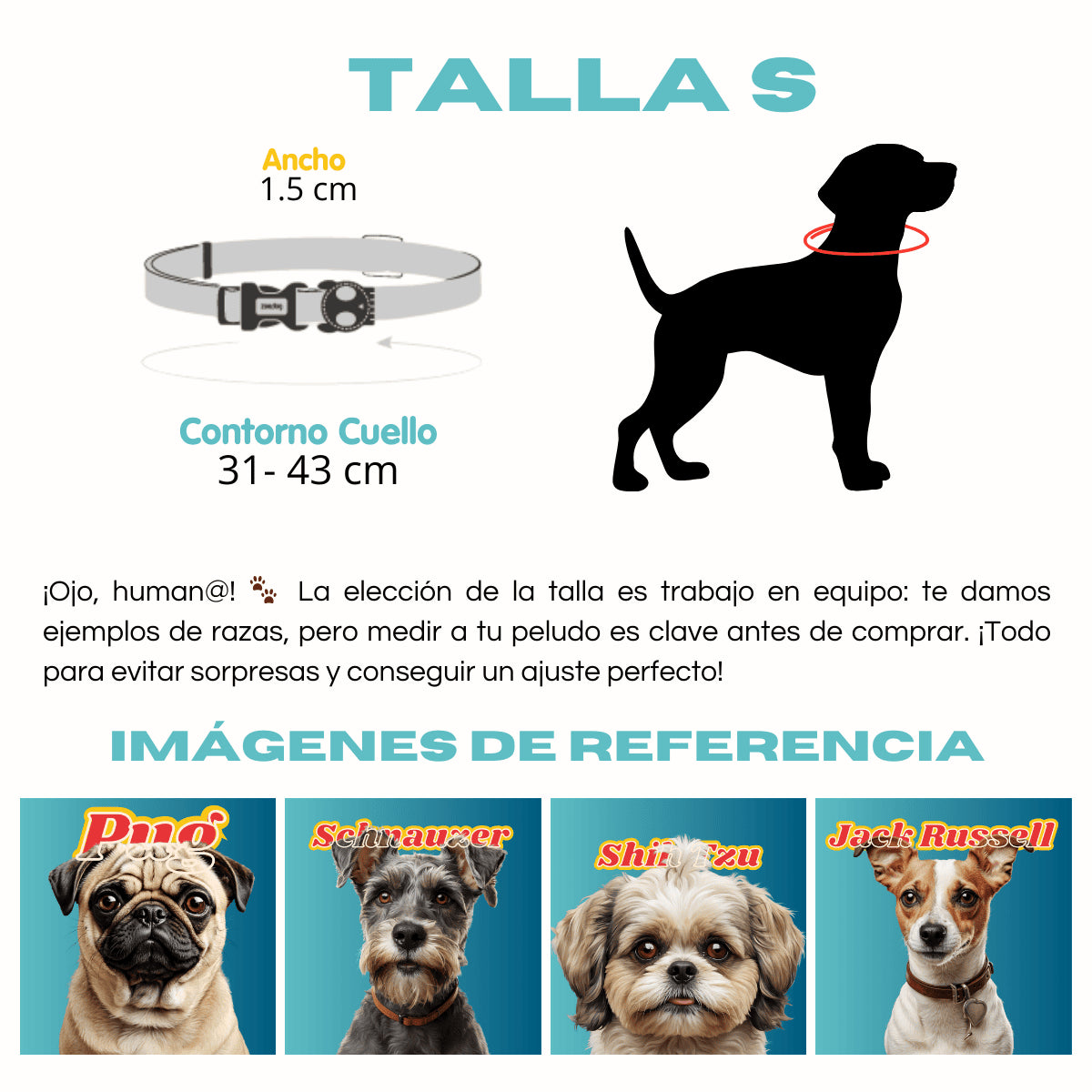 Collar Prisma para perros de ZEEDOG, arcoíris, cierre de seguridad, completamente ajustable