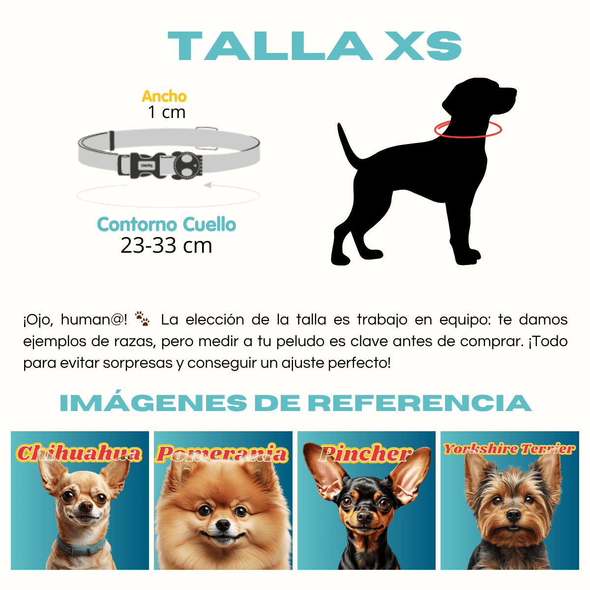 Collar NOX reflectivo para perros de ZEEDOG, verde, negro, morado, reflectante, cierre de seguridad