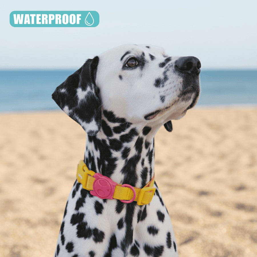 Collar Neopro® Lyra para perros de ZEEDOG, amarillo, rosa, resistente al agua, completamente ajustable