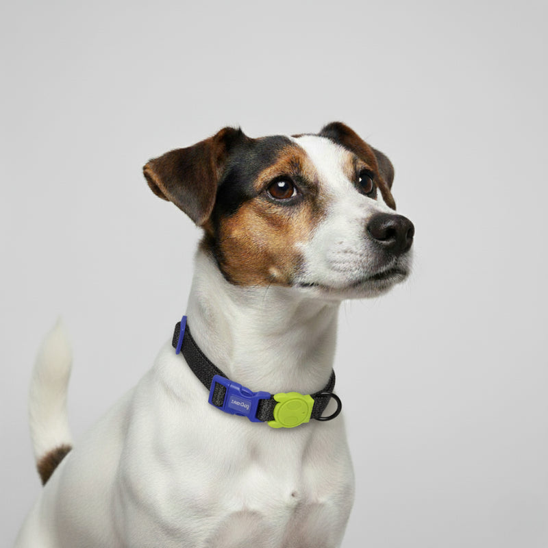Collar NOX reflectivo para perros