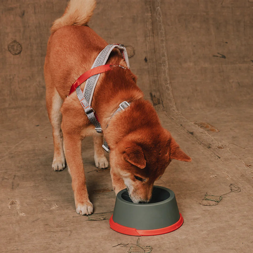 Bowl o comedero clásico Suede Reebok x Zee.Dog de ZEEDOG, naranja, gris