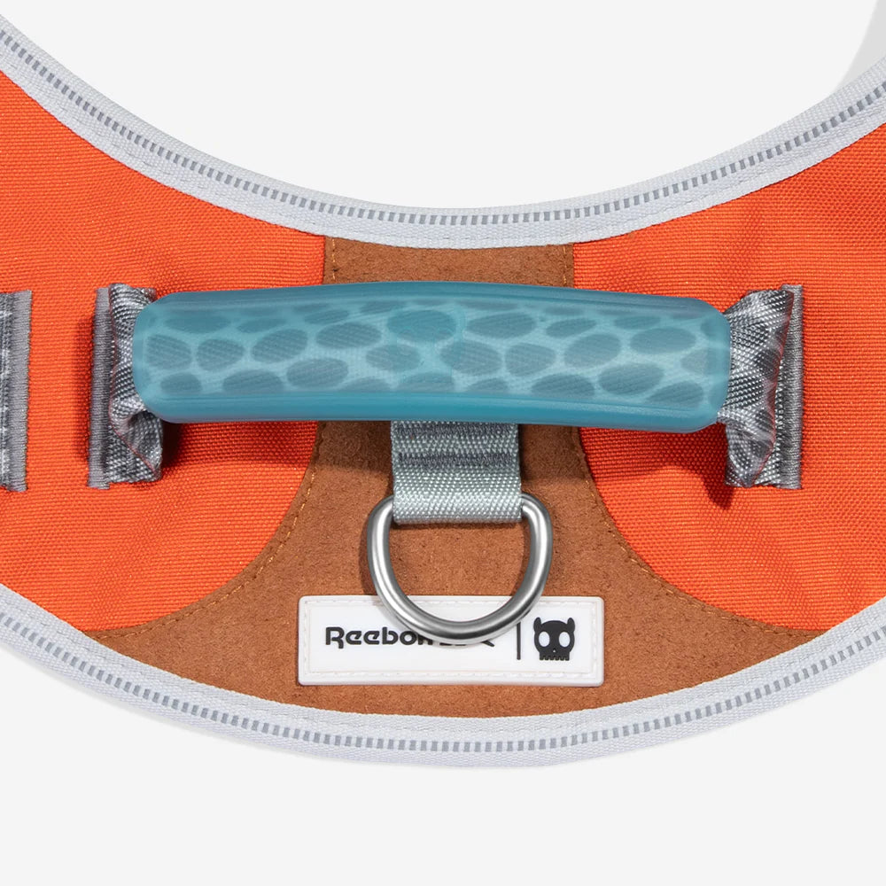 Flyharness - Arnés para perros Suede Reebok x Zee.Dog de ZEEDOG, arcoíris, reflectante, acolchado