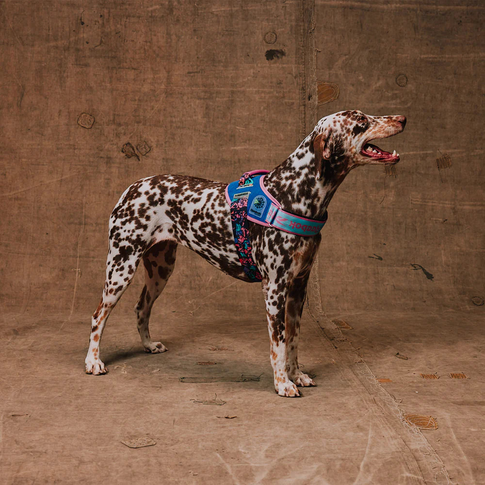 Flyharness - Arnés para perros Aerobic Reebok x Zee.Dog de ZEEDOG, transpirable, ajustable