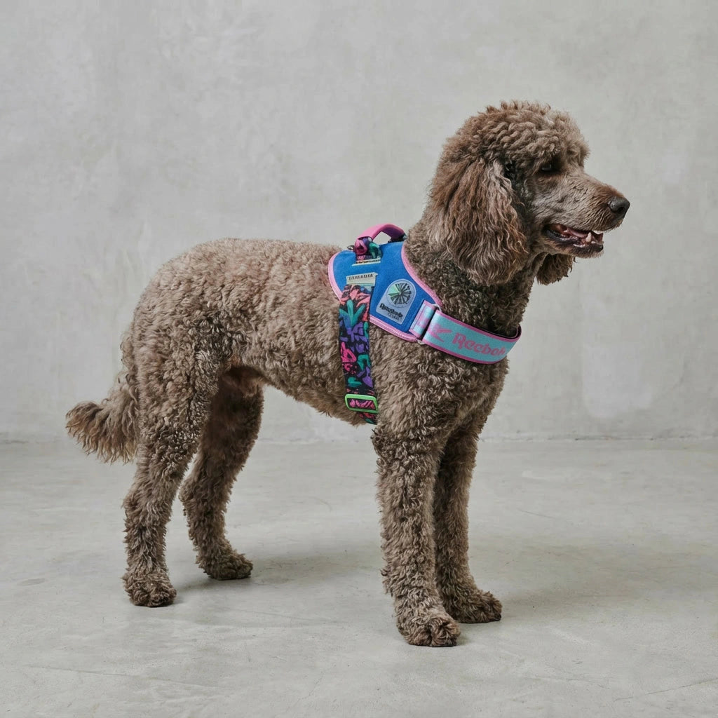 Flyharness - Arnés para perros Aerobic Reebok x Zee.Dog de ZEEDOG, transpirable, ajustable