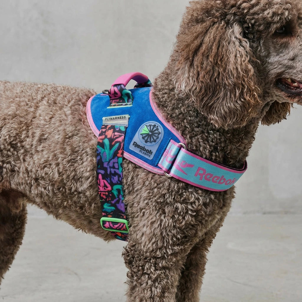 Flyharness - Arnés para perros Aerobic Reebok x Zee.Dog de ZEEDOG, transpirable, ajustable
