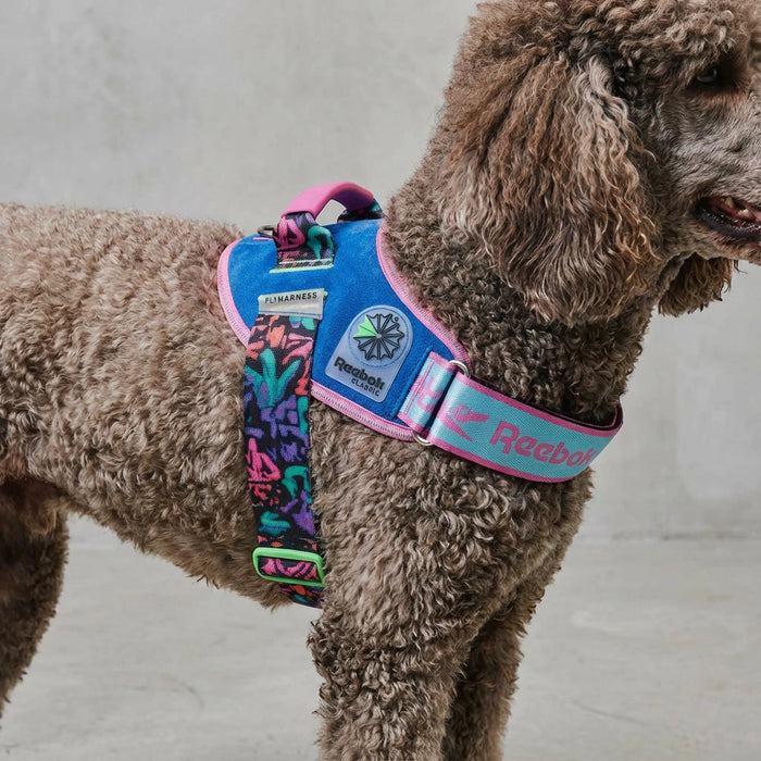 Flyharness - Arnés para perros Aerobic Reebok x Zee.Dog de ZEEDOG, transpirable, ajustable