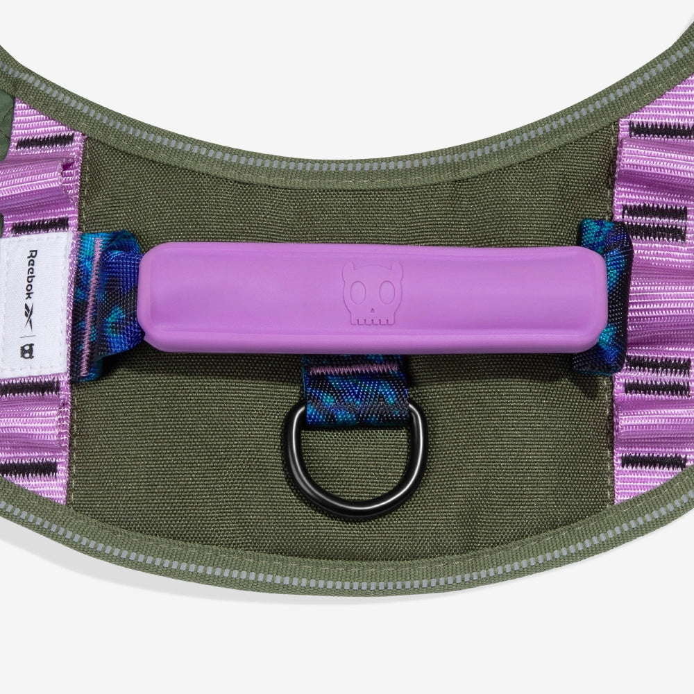 Flyharness - Arnés para perros Trekk Reebok x Zee.Dog de ZEEDOG, arcoíris, reflectante, acolchado