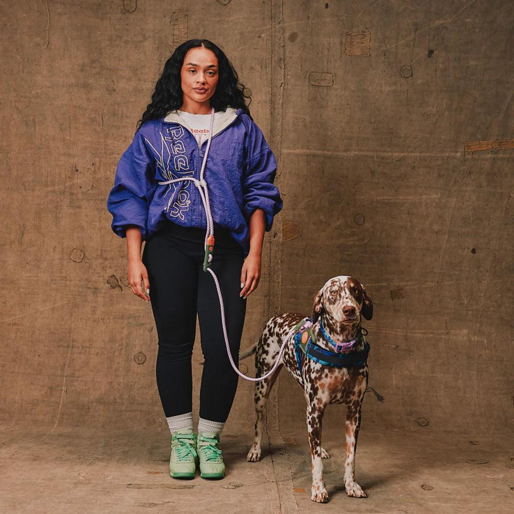 Correa Manoslibres para perros Trekk Reebok x Zee.Dog de ZEEDOG, café, ajustable