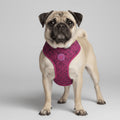 Pechera Airmesh Harness brain para perros de ZEEDOG, transpirable, ajustable