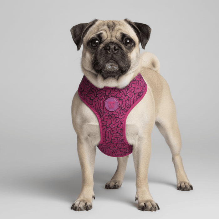 Pechera Airmesh Harness brain para perros de ZEEDOG, transpirable, ajustable
