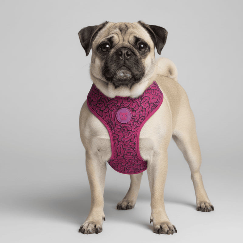 Pechera Airmesh Harness brain para perros