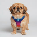 Pechera Airmesh Harness Prisma para perros de ZEEDOG, transpirable, ajustable