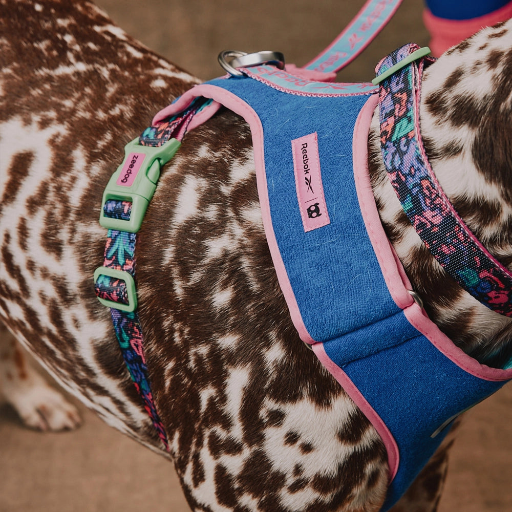 Pechera para perros Aerobic Reebok x Zee.Dog de ZEEDOG, transpirable, ajustable