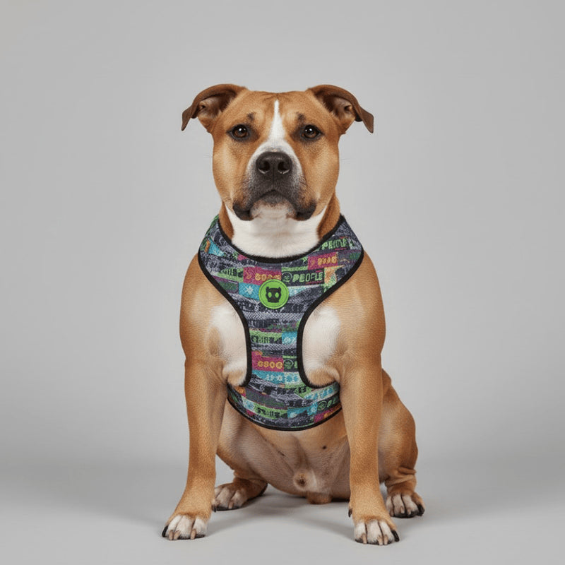 Pechera Airmesh Harness Manifesto para perros