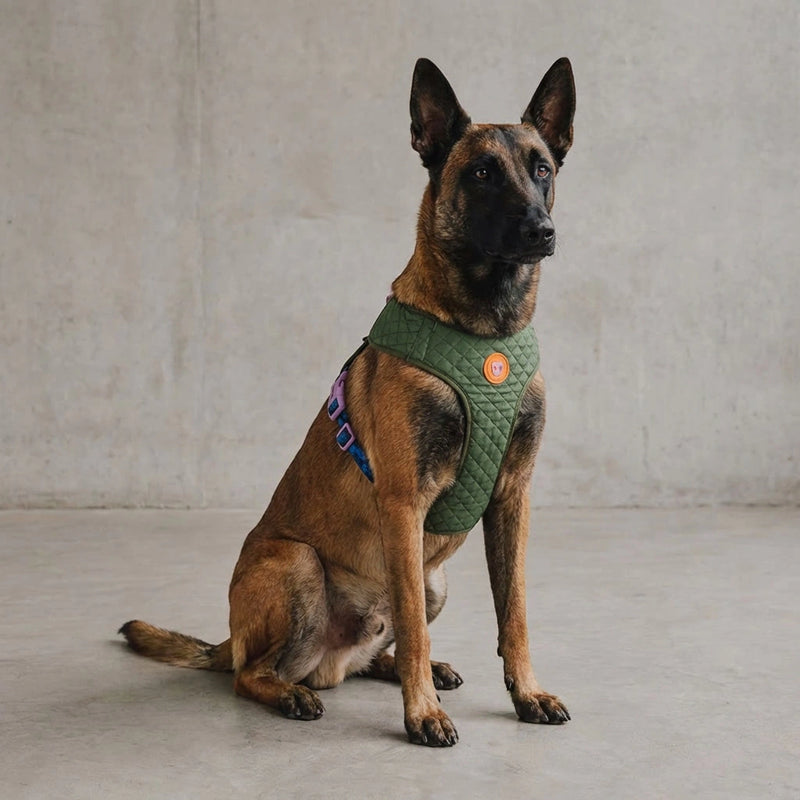 Pechera para perros Trekk Reebok x Zee.Dog