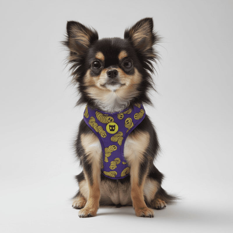 Pechera Airmesh Harness Zmiley para perros