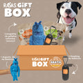 RazasBox para perro Blu de ZEEDOG, negro