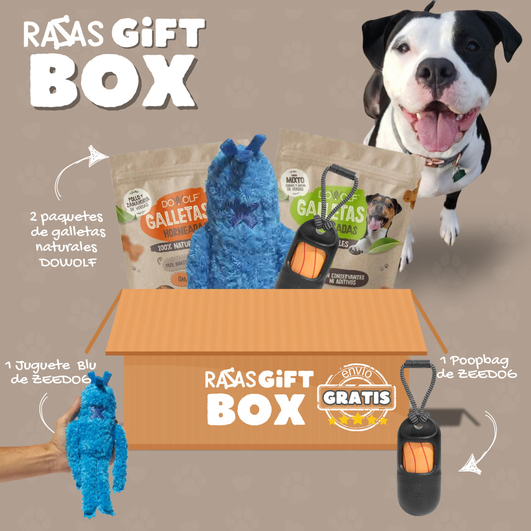 RazasBox para perro Blu de ZEEDOG, negro
