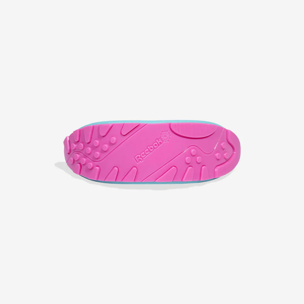 Juguete para morder Aerobic Boomerang para perros de ZEEDOG