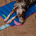 Juguete para morder Aerobic Boomerang para perros de ZEEDOG