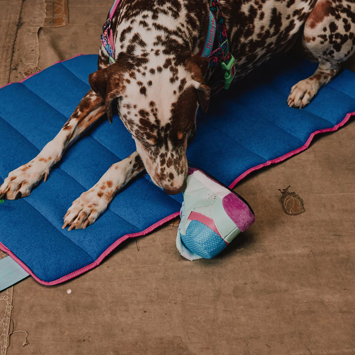 Juguete peluche para perros Aerobic freestyle Hi Reebok x Zee.Dog de ZEEDOG, suave, vista principal